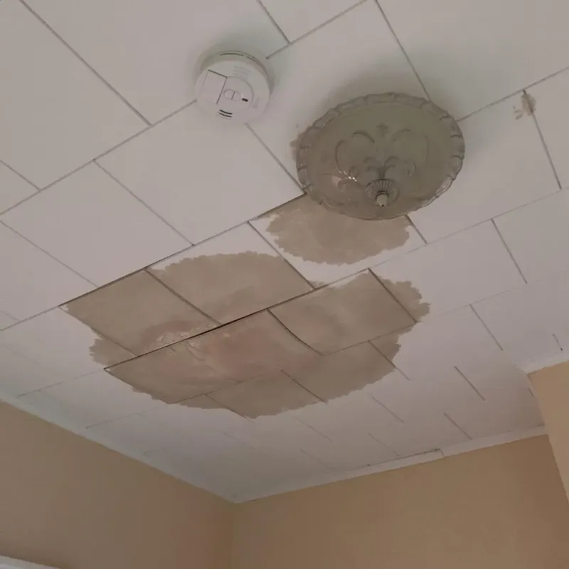 Ceiling Water Damage Repair in Koochiching County, MN